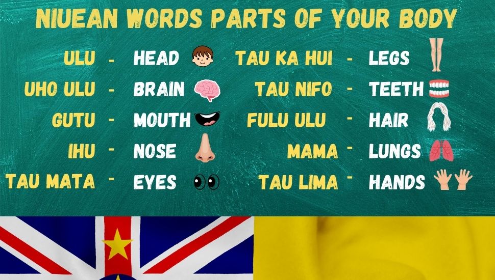 Niuean words for parts of our body