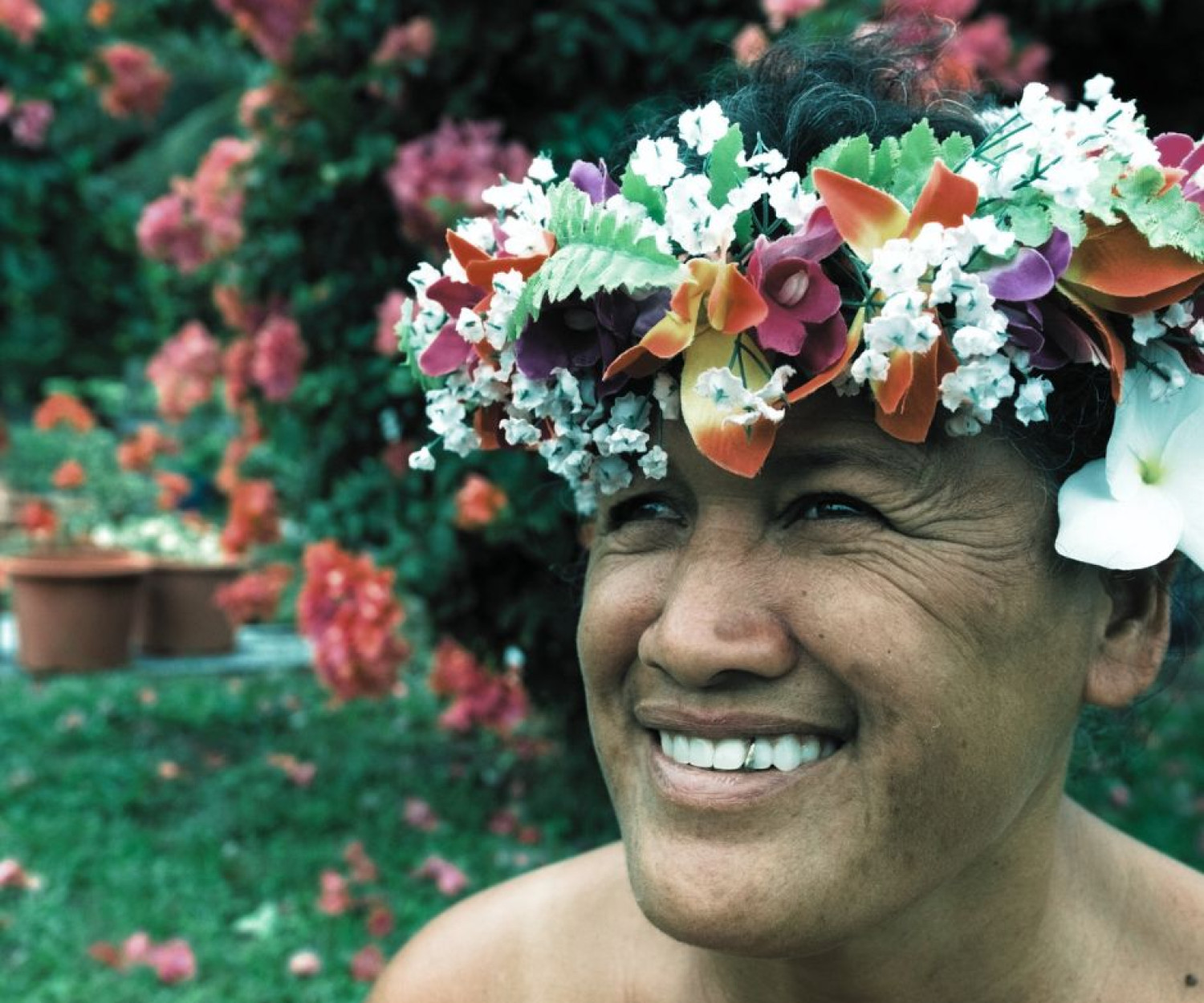 Realm Languages Urgent Revitalisation