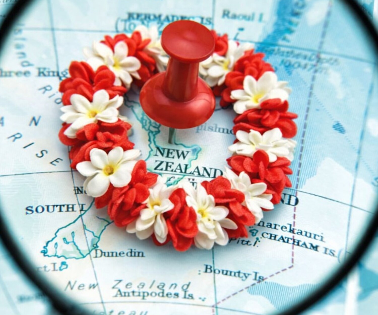 Why Pacific Language Weeks Matter More Than Ever in Aotearoa New Zealand